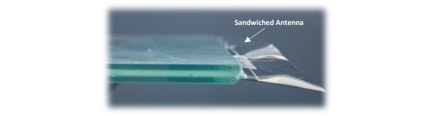 微信截图_20240827094820