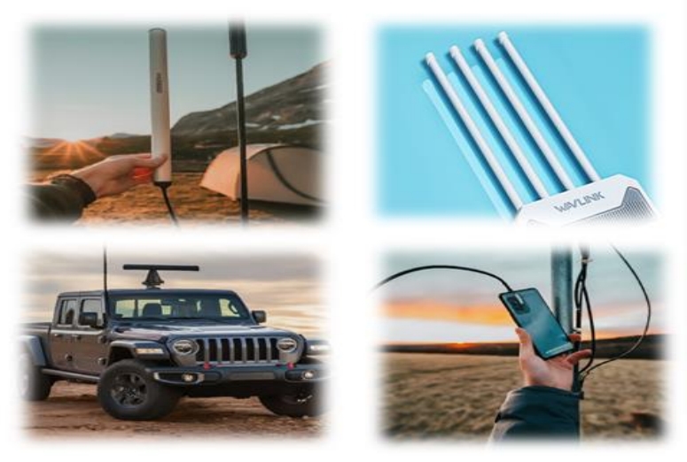 微信截图_20240912092708