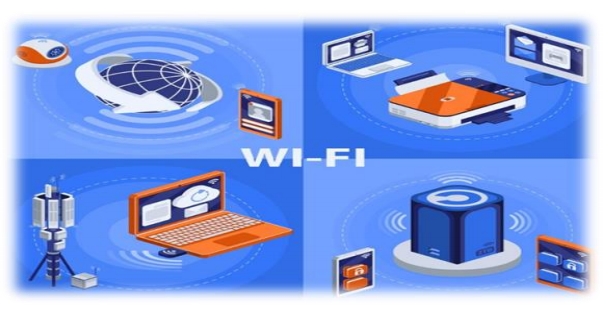 微信截图_20240912093636