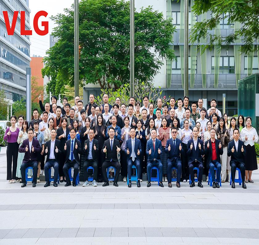VLG Celebrates Its 20th Anniversary: A Journey of Innovation and Excellence
